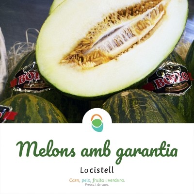 Melons Bollo, deliciosos i garantits